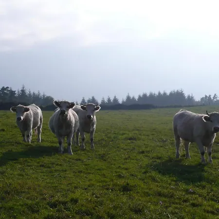 De Charme Avec Piscine, Wi-fi Et Animaux Acceptes - Fr-1-496-26 Casa de Campo Saint-Germain-Laval (Loire)
